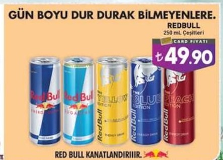Redbull 250 Ml. Çeşitleri