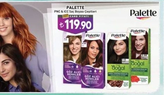 Palette Pnc & Icc Saç Boyası Çeşitleri