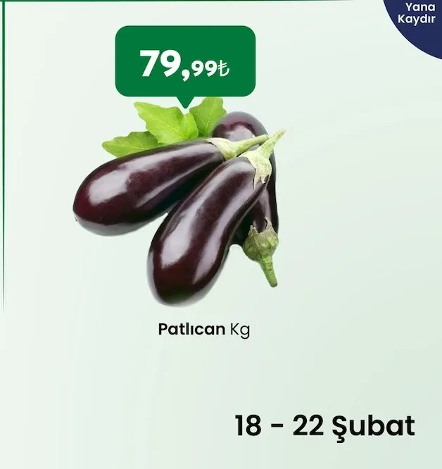 Patlıcan Kg