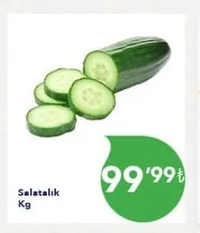 Salatalık Kg