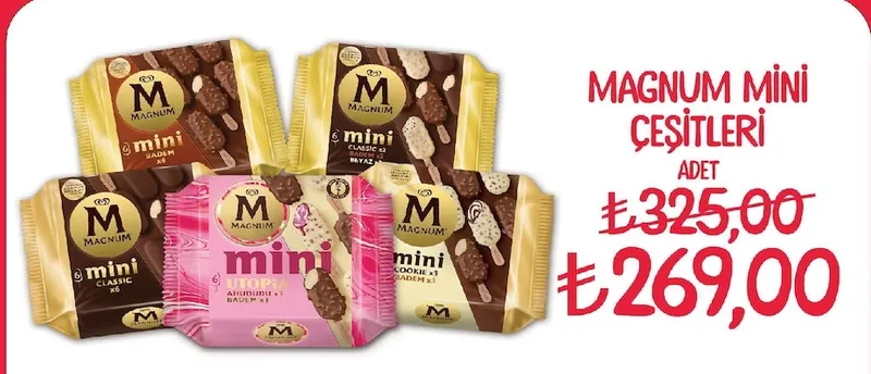 Magnum Mini Çeşitleri