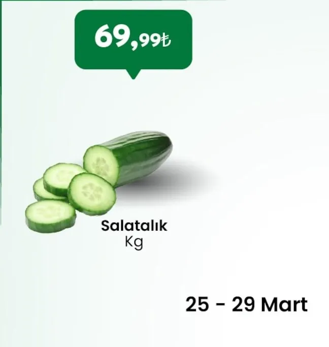 Salatalık Kg