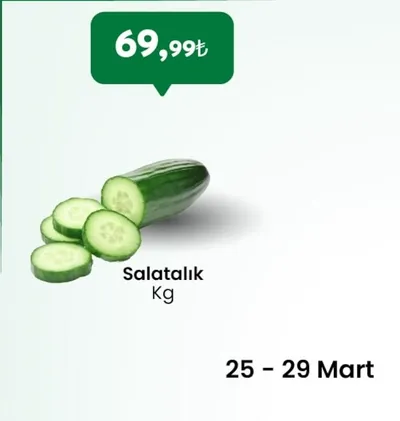 Salatalık Kg