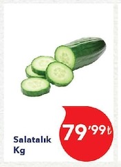 Salatalık Kg
