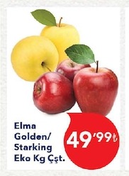 Elma Golden/ Starking Eko Kg Çst.