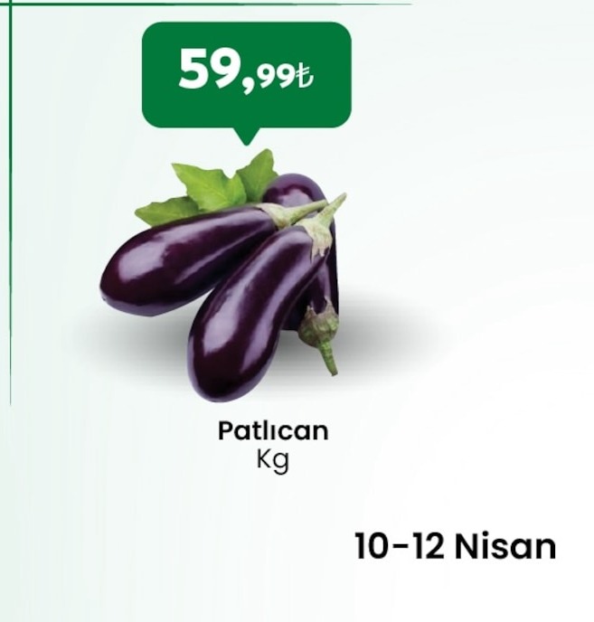 Patlıcan Kg