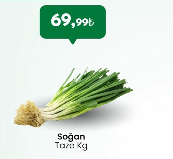 Soğan Taze Kg
