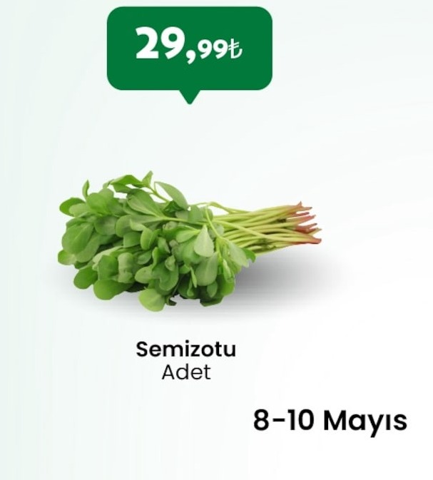 Semizotu Adet
