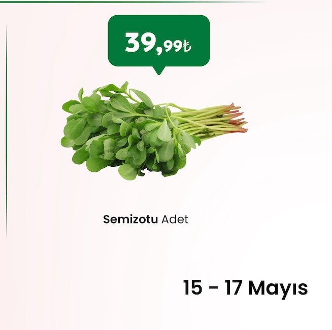 Semizotu Adet