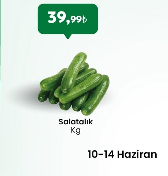 Salatalık Kg