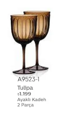 Tulipa Ayaklı Kadeh 2 Parça