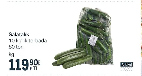 Salatalık 10 Kg'Lık Torbada