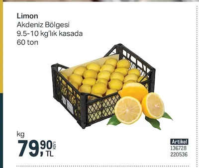 Limon Akdeniz Bölgesi 9.5-10 Kg'Lık