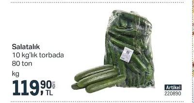 Salatalık 10 Kg'Lık Torbada