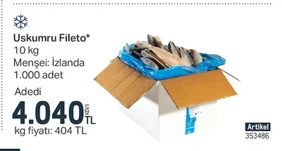 Uskumru Fileto* 10 Kg