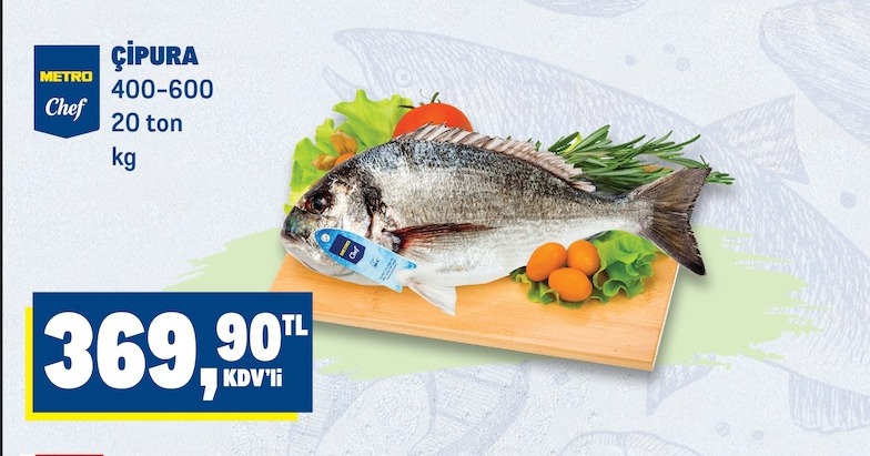 Metro Chef Çipura 400-600