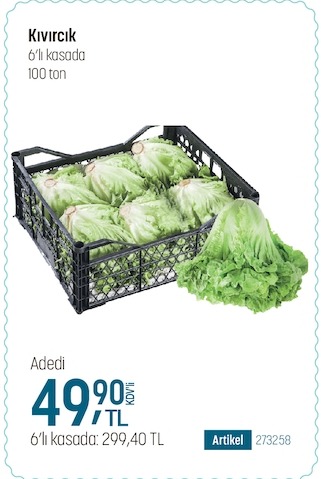 Kıvırcık 6'Lı Kasa 100 Ton