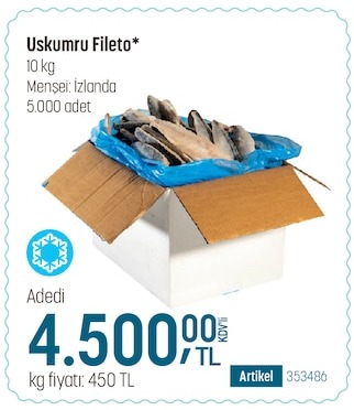 Uskumru Fileto 10Kg
