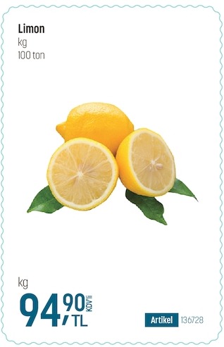 Limon 100 Ton