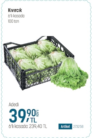 Kıvırcık 6'Lı Kasada 100 Ton