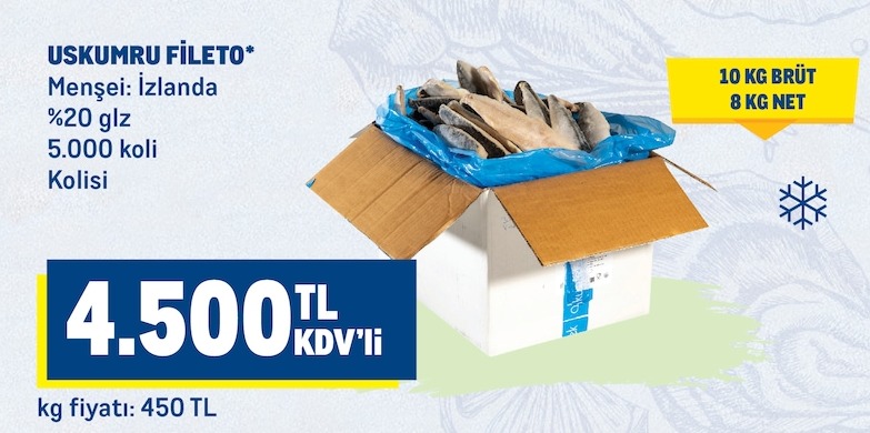 Uskumru Fileto 8 Kg