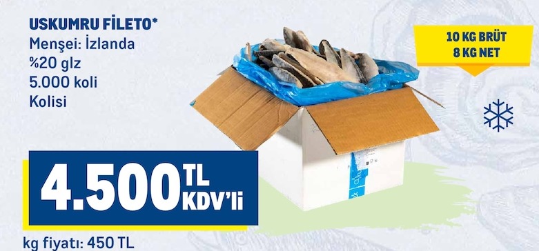 Uskumru Fileto 5.000 Koli