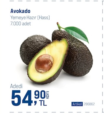 Avokado Hass 7000 Adet