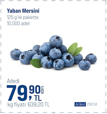 Yaban Mersini 125G Pakette 10.000 Adet