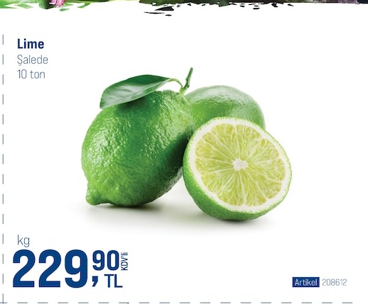 Lime Salatalık 10 Ton