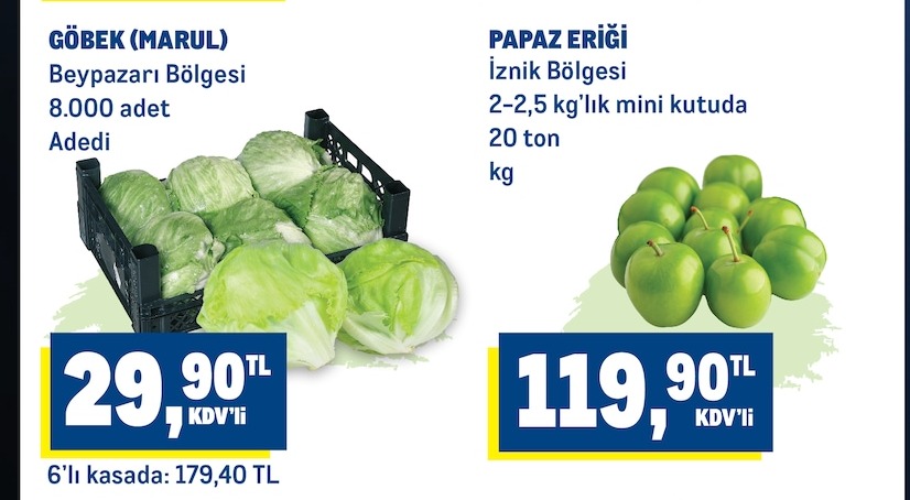 Göbek Marul Beypazarı Bölgesi 8.000 Adet