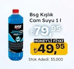Bsg Kışlık Cam Suyu 1 L