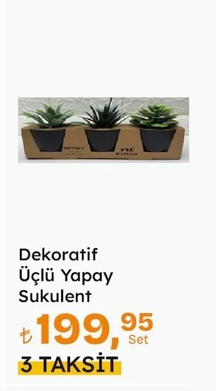 Dekoratif Üçlü Yapay Sukulent