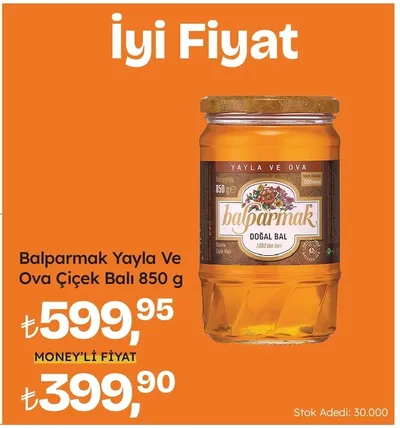 Balparmak Yayla Ve Ova Çiçek Balı 850 G