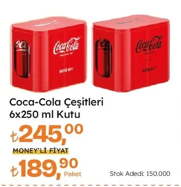 Coca-Cola Çeşitleri 6X250 Ml Kutu