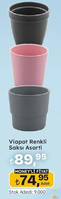 Viapot Renkli Saksı Asorti
