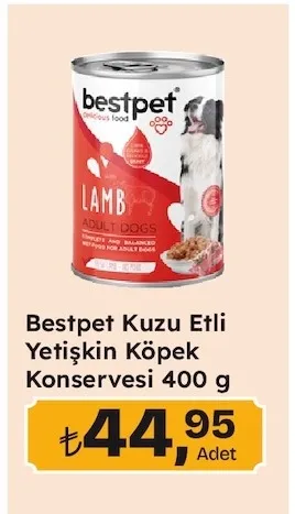 Bestpet Kuzu Etli Yetişkin Köpek Konservesi 400 G