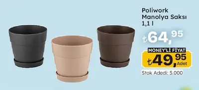 Poliwork Manolya Saksı 1,1 L