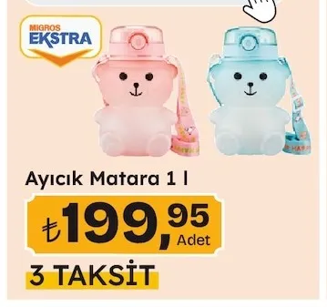 Ayıcık Matara 1 L