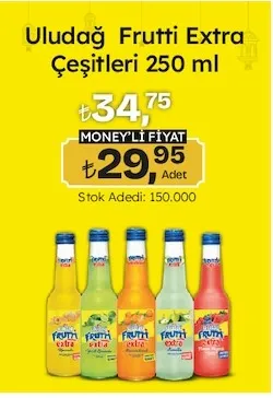 Uludağ Frutti Extra Çeşitleri 250 Ml