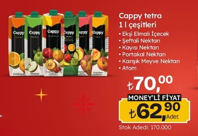 Cappy Tetra 1 L Çeşitleri