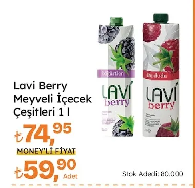 Lavi Berry Meyveli İçecek Çeşitleri 1 L