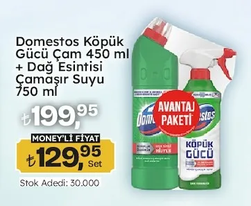 Domestos Köpük Gücü Çam 450 Ml