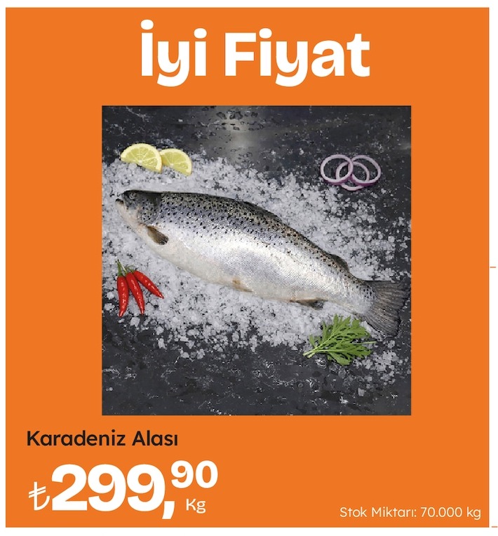 Karadeniz Alası