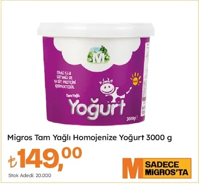 Migros Tam Yağlı Homojenize Yoğurt 3000 G
