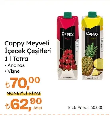Cappy Meyveli İçecek Çeşitleri 1 L Tetra