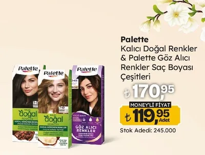 Palette Kalıcı Doğal Renkler & Palette Göz Alıcı Renkler Saç Boyası Çeşitleri