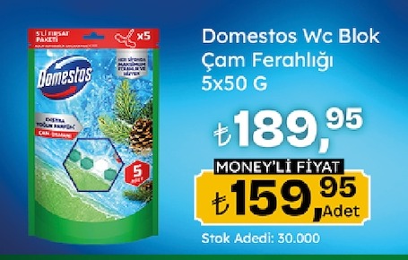 Domestos Wc Blok Çam Ferahlığı 5X50 G