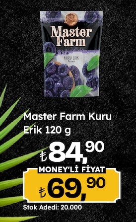 Master Farm Kuru Erik 120 G