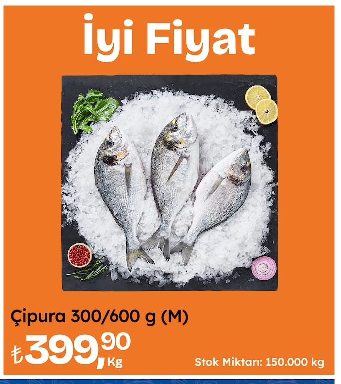Çipura 300/600 G (M)
