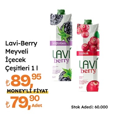 Lavi-Berry Meyveli İçecek Çeşitleri 1 L
